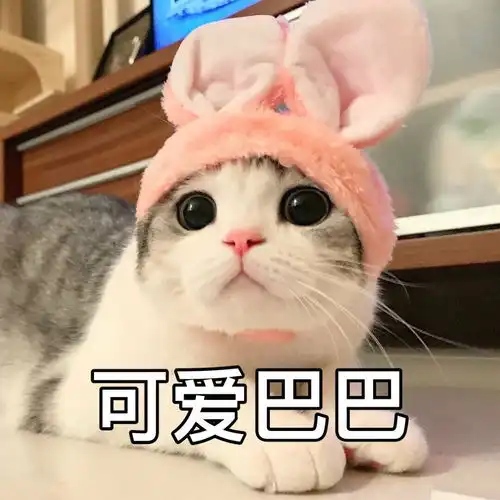 你平常聊天会用哪些求人的表情包 你平常聊天会用哪些求人的表情包