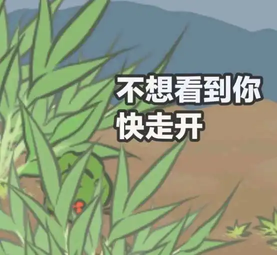  旅行青蛙一大波表情包来袭我的蛙蛙怎么还不回家