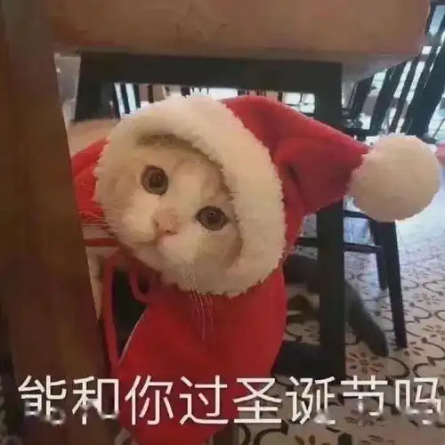  能和你过圣诞节吗