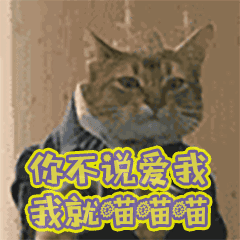  抖音上不说爱我我就喵喵喵gif表情包