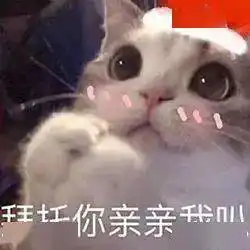  可爱表情今夜我就是你的圣诞礼物