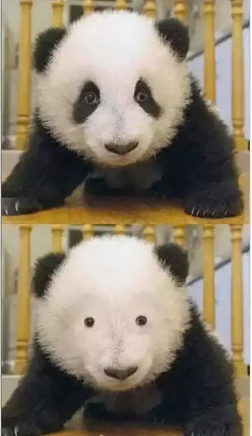  80平三室一厅怎么装修才不拥挤