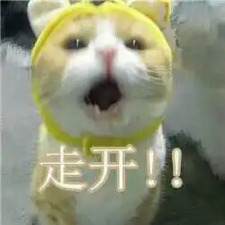  小猫咪表情包,简直可爱炸了百度贴吧超可爱猫咪表情包