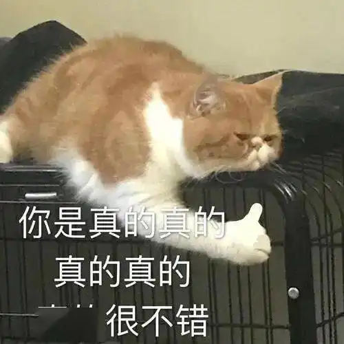 发工资表情包沙雕废青
