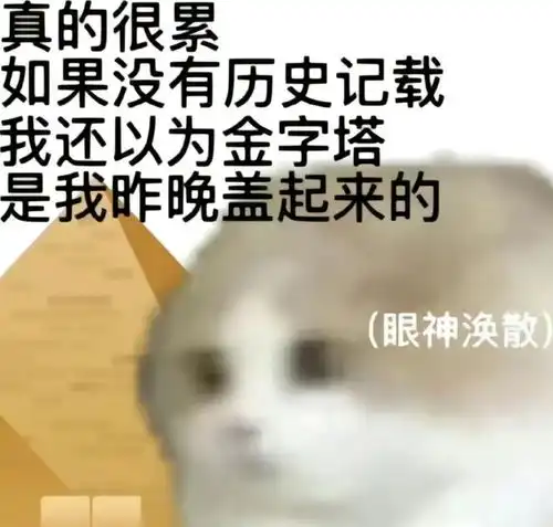  你这是什么话我不喜欢丨第842期喵表情包