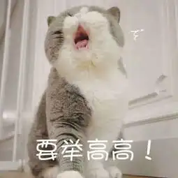  表情包人家超可爱的.