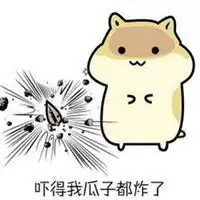  瓜子给你灰仓鼠表情包微信头像图片大全