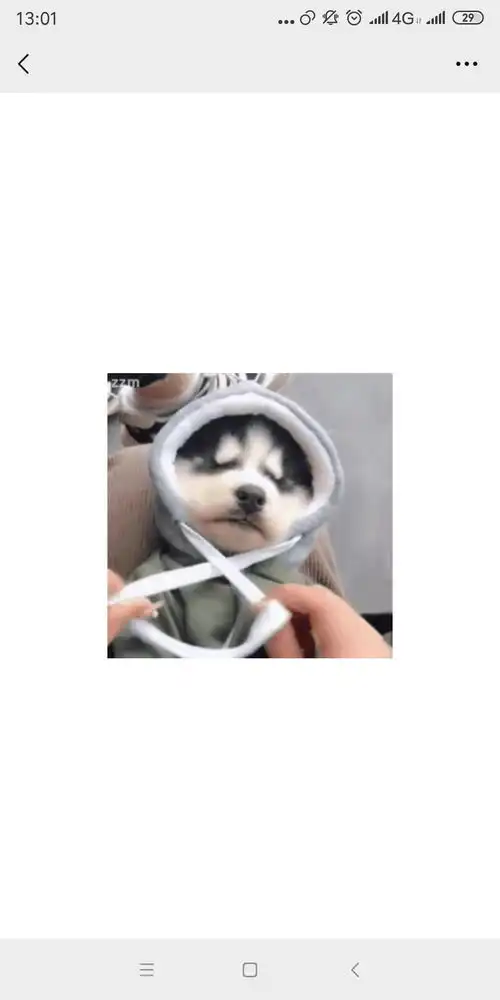  王俊凯穿帽衫撞脸表情包,一把抱起这只小狗勾
