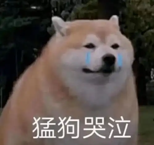  卖家的理解能力有多离谱看完后笑到胃酸倒流
