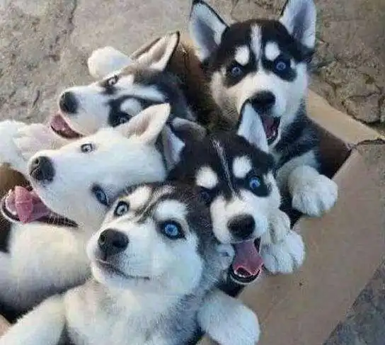  明天起,4大生肖好运不断,钱财八方来,钞票堆满仓