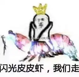  皮皮虾快停下系列表情包