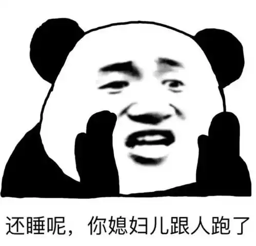  热门斗图表情包还睡呢,你媳妇跟人跑了