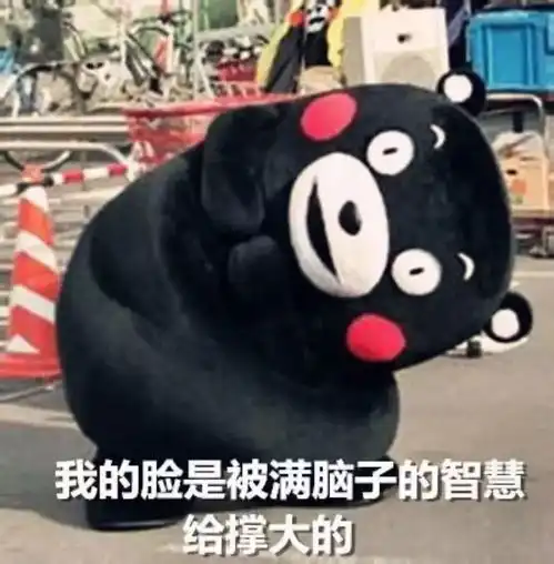  吐血整理2018合肥春运最强出行攻略出炉赶紧收好