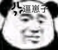  小熊猫表情包大量