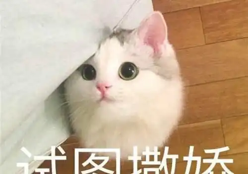  开心笑话只有雌蚊子才和你的血,因为它们需要你的血才能生孩子