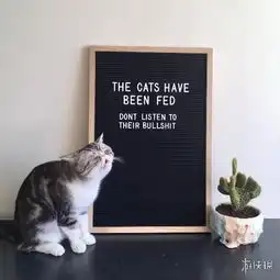 看清的一瞬间毫不犹豫的踩下油门囧图魔法值加三 看清的一瞬间毫不犹豫的踩下油门囧图魔法值加三