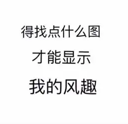小仓鼠表情包图片大全仙