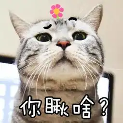  猫咪表情包来袭我没有在嘲笑你,别想太多