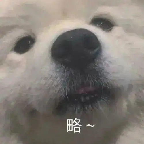  好玩搞怪个性表情包