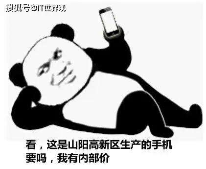  商洛项目发展动态文化特色被熊猫安排了