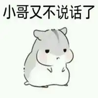  撩小哥哥的仓鼠表情包微信头像图片大全