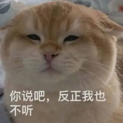  表情包你在吃啥呀拿图点赞吱声