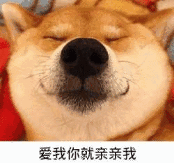  门票立减50萌宠免费领养成都最嗨的潮玩胜地放大招,五一去刚好