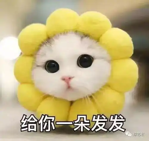 征稿启事山大图苑向您约稿 征稿启事山大图苑向您约稿