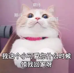  撩小哥哥用的表情包我混世大魔王,申请做你的小熊软糖