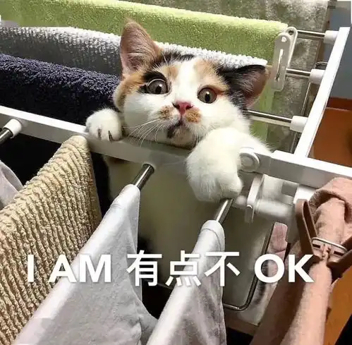  the发布最新世界大学排名美国大学集体失踪