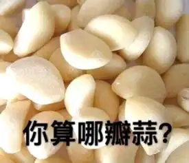  你算哪块小饼干什么意思你算哪块小饼干是什么梗爱秀美