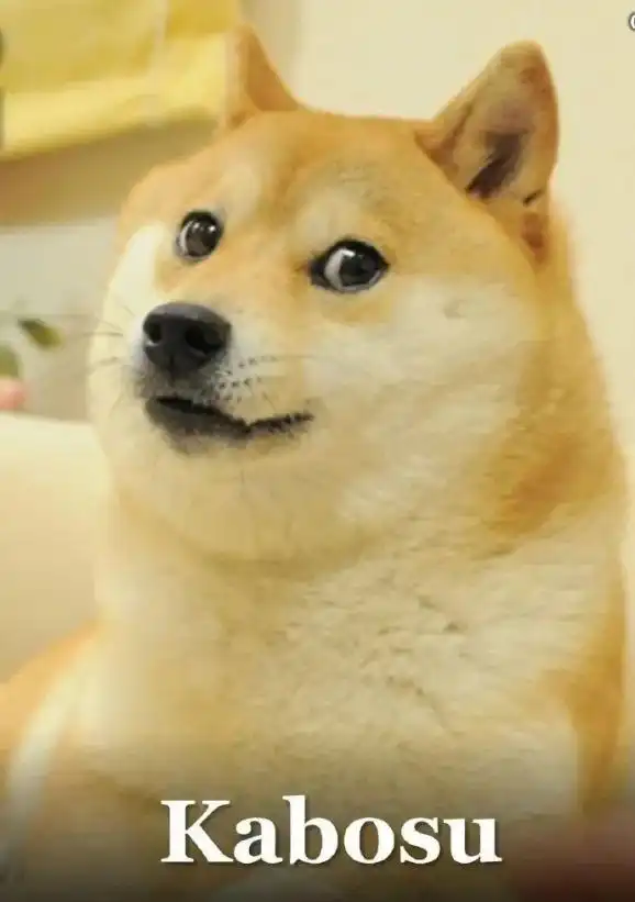  太突然确认已去世,粉丝遍布全球