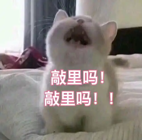  有哪些对敏感肌友好且有效的洗面奶
