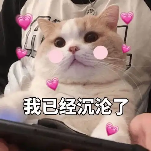  北辙南辕朱雨辰身陷外遇风波,九年婚姻走到尽头