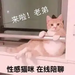 黑科技防污t恤加上换物种头套,让你远离万圣节血浆喷湿的尴尬精分剧场