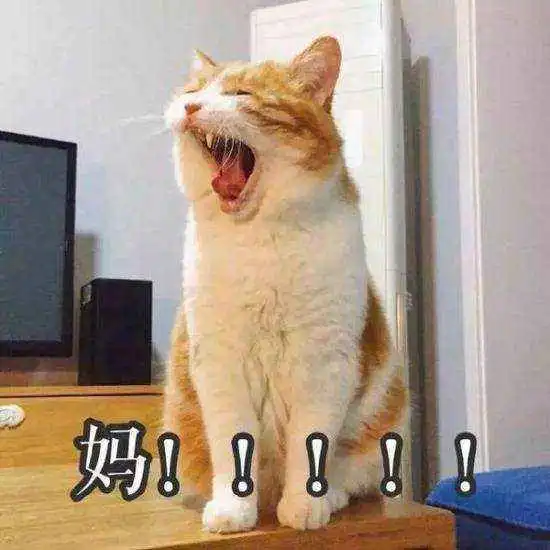 喂喂快把这沙雕铲屎官带走