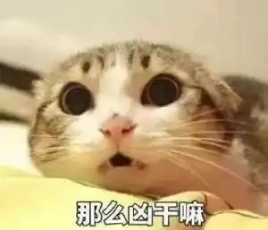 圣诞节表情包绿帽子够不