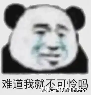  表情包小猪猪男孩闯祸表情包