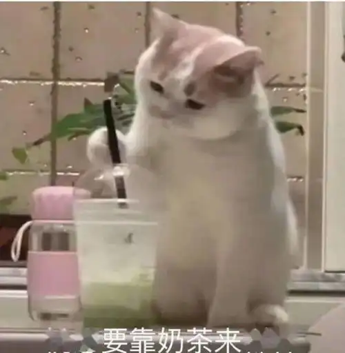  同学,交作业了