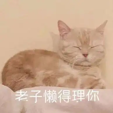  橘猫沙梨表情包