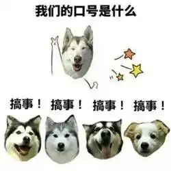 狗都不吃表情包图片