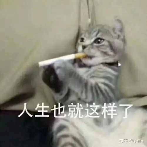 担心表情包猫咪动漫