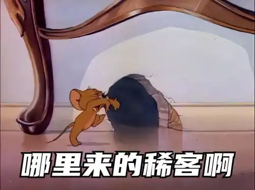  不理我表情包搞笑视频情侣经典段子猫和老鼠