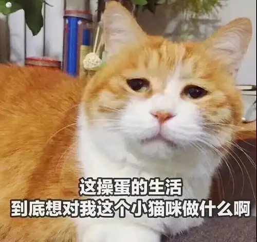  现在的小哥哥都怎么了