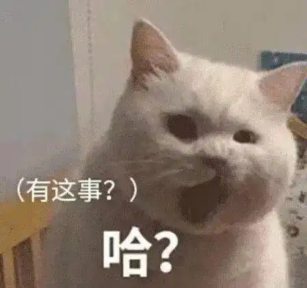 沙雕狗子表情包猫咪
