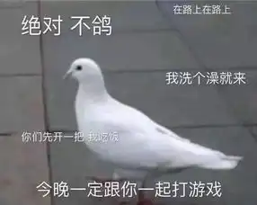  明日之后新资料片鸽了玩家5个月,原来是内容太大