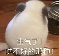  双台风19号台风杜苏芮或今晚生成,与风王泰利携手前来