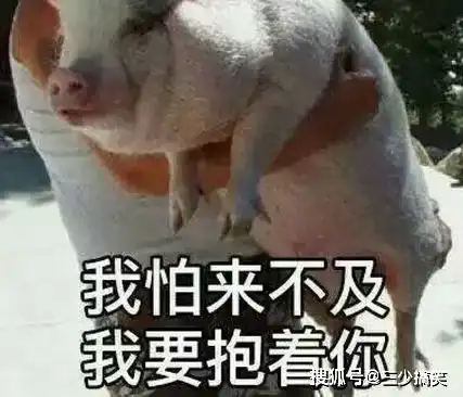  搞笑gif动图这是什么表情,有点夸张