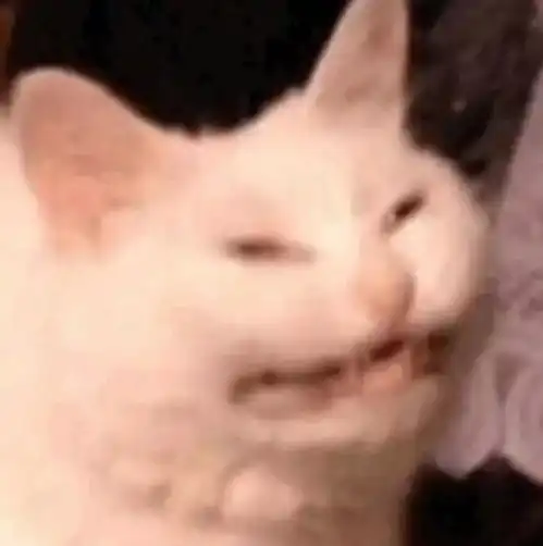  最近很流行的沙雕表情包