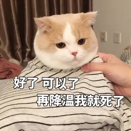 搞笑的动图表情包国宝